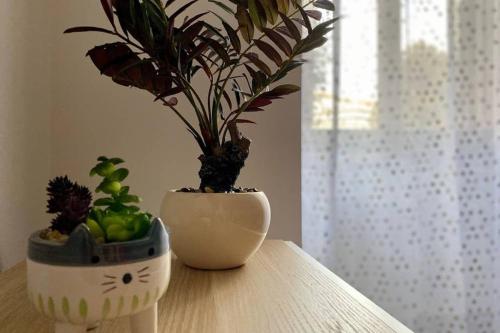 Central modern apartment Rome -Locazione Turistica-, Roma (foto 6)