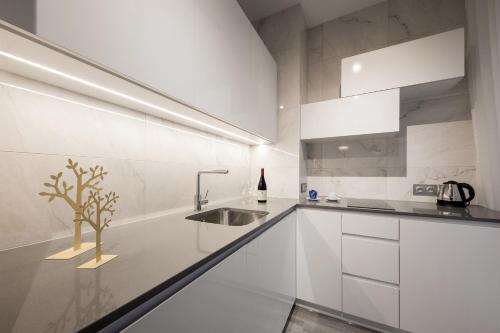 Penthouse Apartment image 10