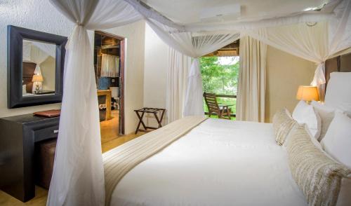 Karongwe Portfolio- Shiduli Private Game Lodge