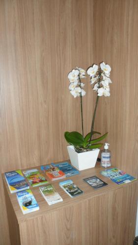 Standard Apartment image 1