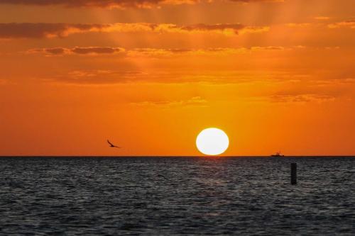 404 - Surf Beach Resort - image 2