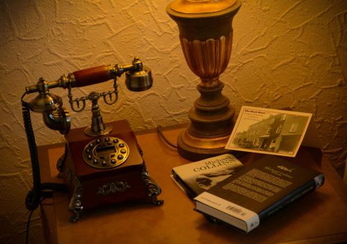 Bush Hotel - image 2