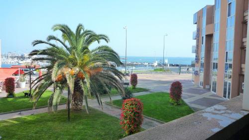 1 Chambres, Pkg, a Mi Chemin Entre Plages Et Centre Historique - Location saisonnière - Sète