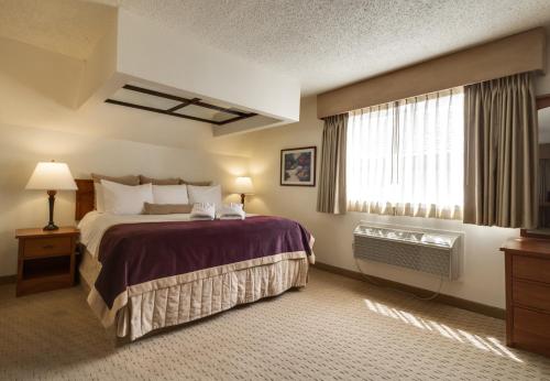 Twin Peaks Lodge & Hot Springs - image 8