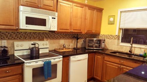 Hidden Oasis in Palm Beach International Airport