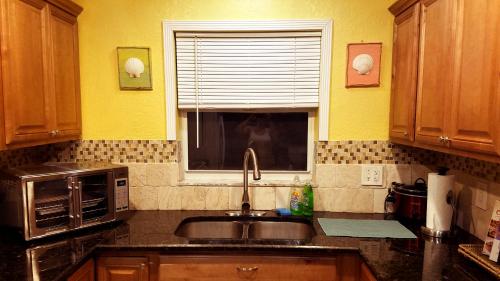 Hidden Oasis in Palm Beach International Airport