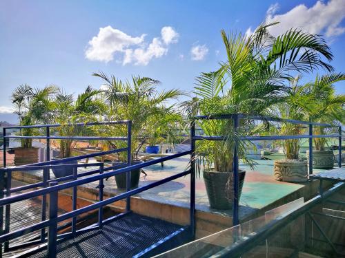 Hotel Casa 69 - image 4