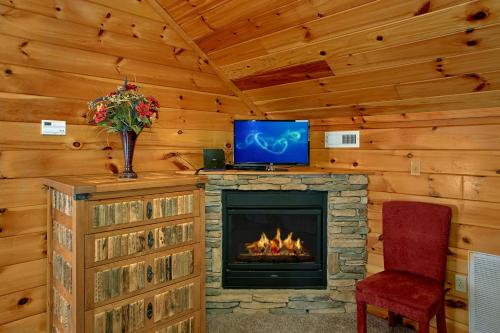 Bear Splash #409 by Aunt Bug's Cabin Rentals - image 5