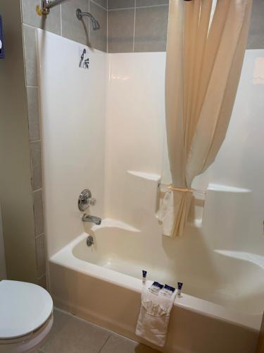 Americas Best Value Inn - Gaylord - image 9