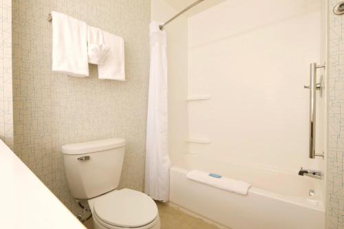 홀리데이 인 익스프레스 로체스터 힐스 바이 IHG - 화장실