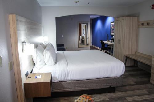 Holiday Inn Express Hotel & Suites Athens Room Type - 1 King Suite Sofa Bed