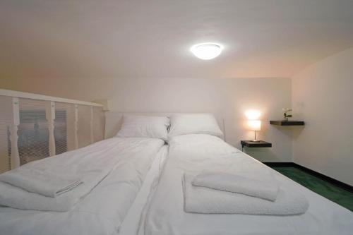 V27 Vadász Apartment, Budapešť (fotografie 6)