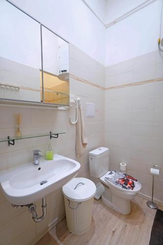 V27 Vadász Apartment, Budapešť (fotografie 5)