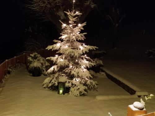  Trippolthof in Prebl