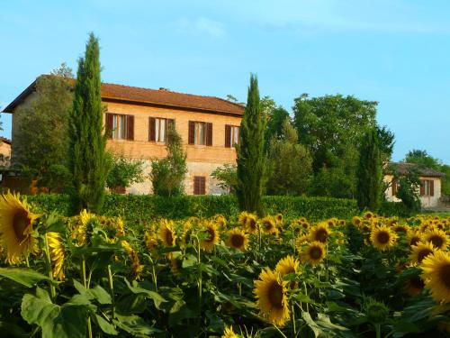 Agriturismo Santa Giuditta - Hotel - Sovicille