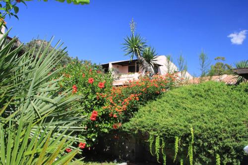 Albaruja Hotel - image 11
