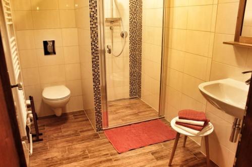 Apartmány AMADE Jeseníky - image 14