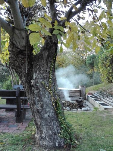Apartament Leszczynowa 7 blisko Zatora