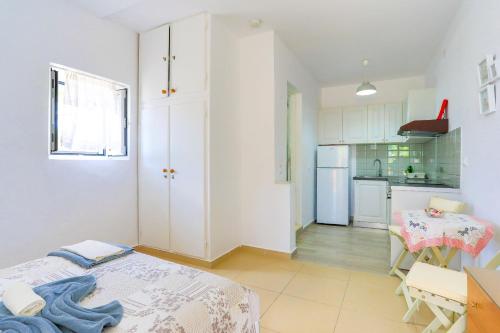 Anda Studio - image 7