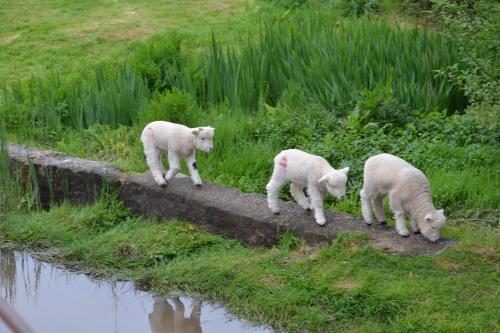 The Linhay in Copplestone