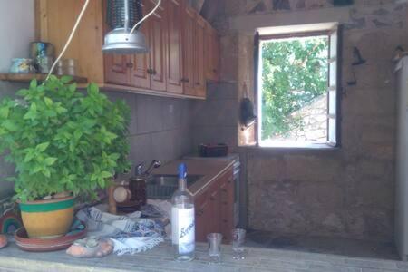 Isida's Traditional Stone House with inside yard