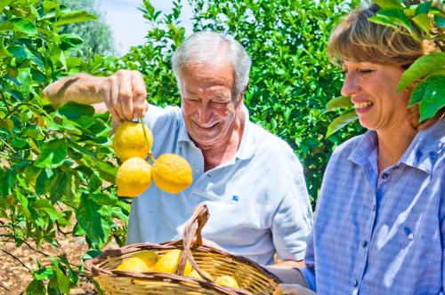 Agriturismo Limoneto - image 10