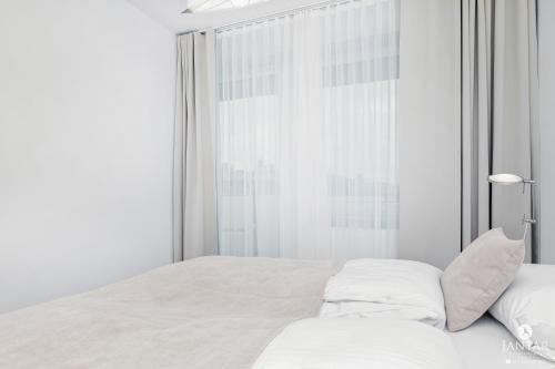 Deluxe Apartment image 5
