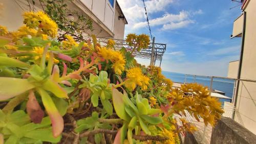 Apartment Cedo - image 5