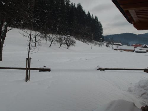 Valašský dvůr - image 7