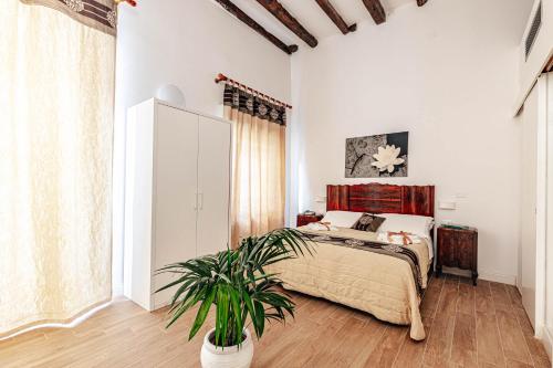 Giulio Cesare 14 Room Type - Double Room
