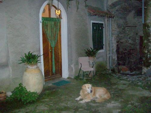 Casa Nemo