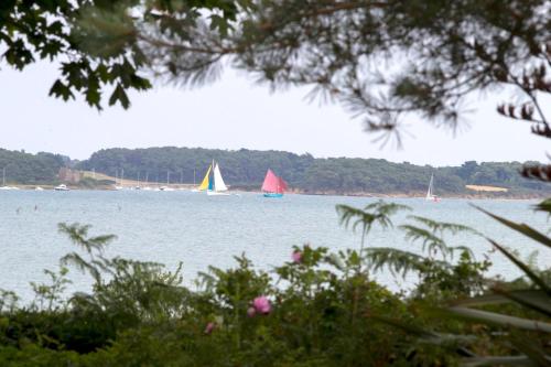 Rêves de bord de mer