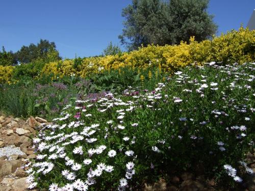 Quinta Do Cano - image 8