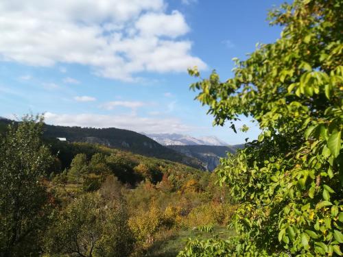 Vignjišta - image 3