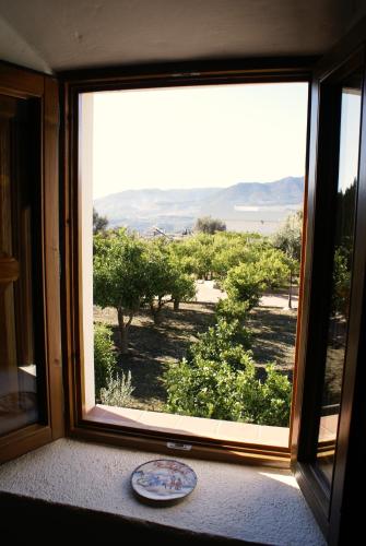 King Room with Garden View