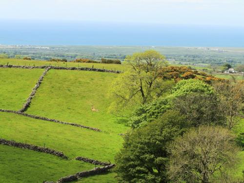 Y Garreg Fawr - image 5