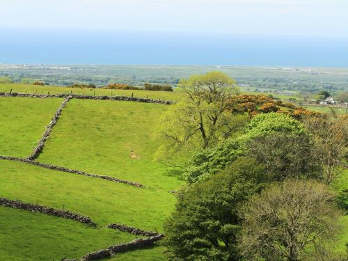 Y Garreg Fawr