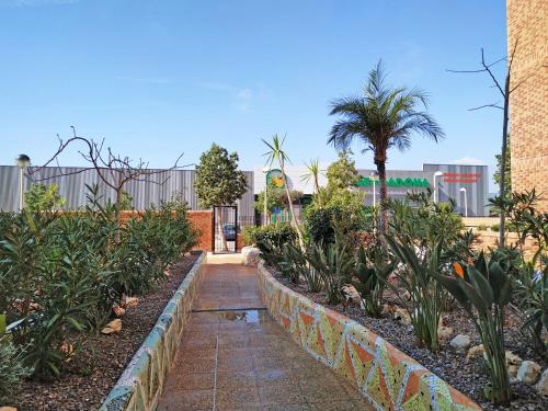 Apartamentos Coral - Marfil Marina Dor 3000