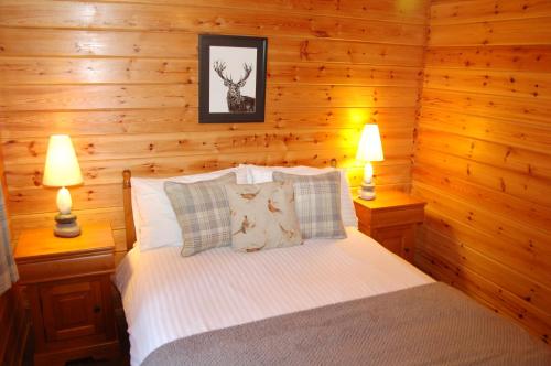 Cosy Rowan woodland lodge no3 - Accommodation - Killin