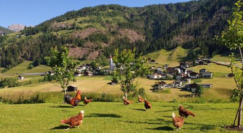 Mooserhof, Maria Luggau (fotografie 8)