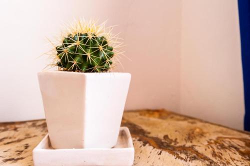 Casa Mediterranea Villa de Leyva in Villa De Leyva