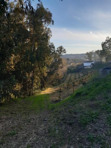 Cortijo el Puente