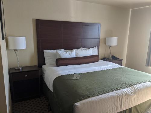 1 king bed