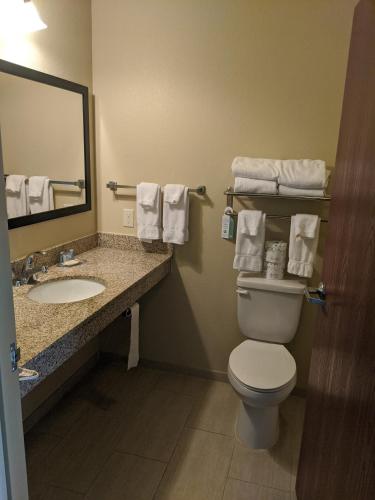 Cobblestone Inn & Suites-Winterset