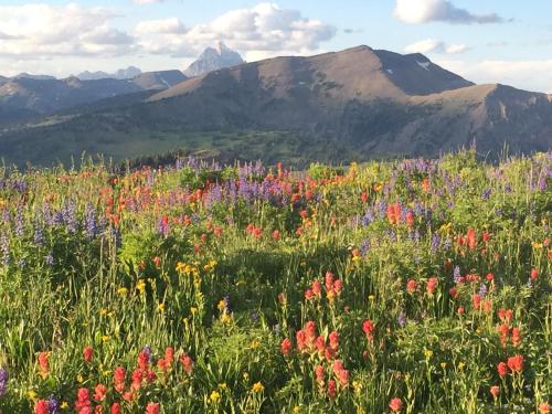 Trail Creek Ranch in Wilson, USA