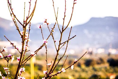 Nafplio TopView