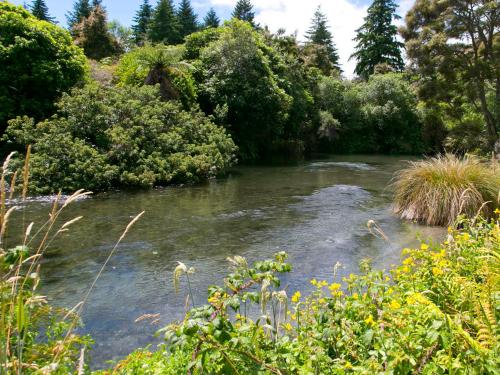 Bellbird Cottage - Lake Taupo Bach