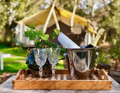 Skats, Wingtons Glamping in Clarence Point