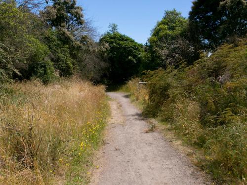 Bellbird Cottage - Lake Taupo Bach