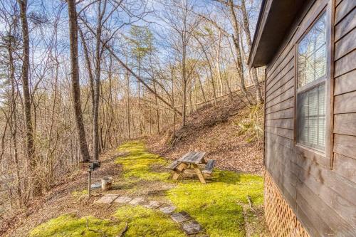 Bear Den - image 6